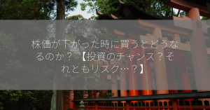 株価が下がった時に買うとどうなるのか？ 【投資のチャンス？それともリスク…？】